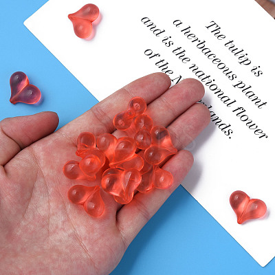 Transparent Acrylic Beads MACR-S373-70-B06-1