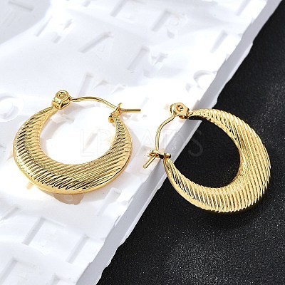 304 Stainless Steel Hoop Earrings for Women EJEW-L296-067G-1