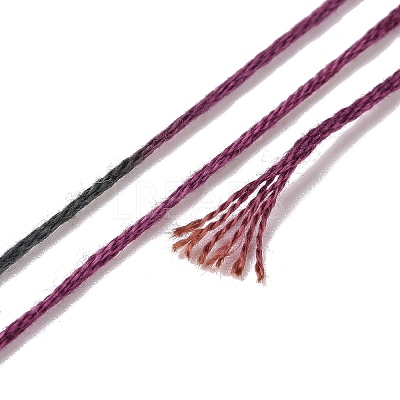 10 Skeins 6-Ply Polyester Embroidery Floss OCOR-K006-A04-1