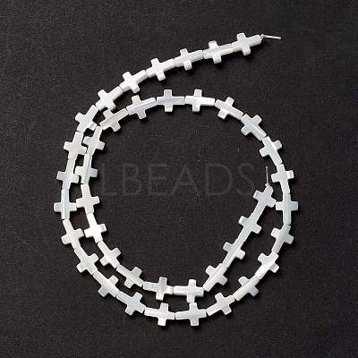 Natural Trochid Shell/Trochus Shell Beads SSHEL-O0001-22B-1
