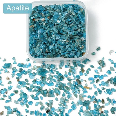 60G(672pcs) Natural Apatite Chip Beads G-YW0001-83-1