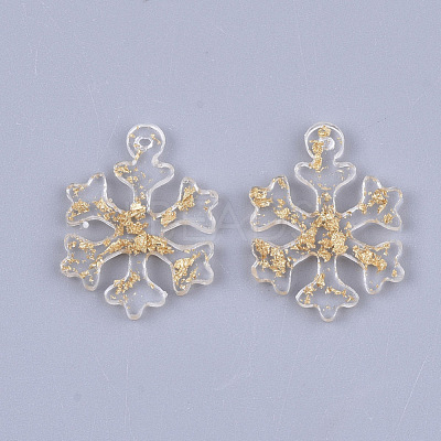 Resin Pendants RESI-T040-004-1