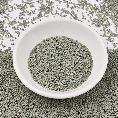 MIYUKI Delica Beads X-SEED-J020-DB2282-1