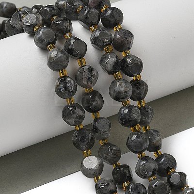 Natural Larvikite Beads Strands G-K387-A02-02-1