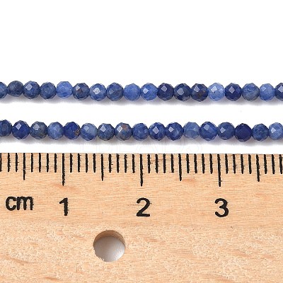 Natural Sodalite Beads Strands G-D306-A01-2mm-B-1