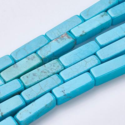 Natural Magnesite Beads Strands TURQ-K003-13-1