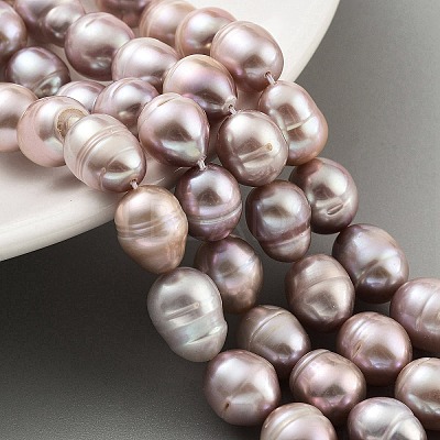 Natural Cultured Freshwater Pearl Beads Strands PEAR-P062-13F-X-1