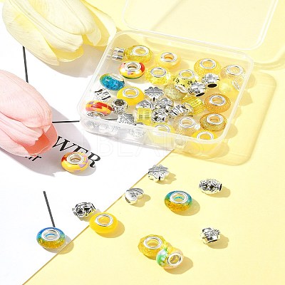 DIY Tibetan Style Alloy & Resin European Beads Making Finding Kits DIY-FS0006-78B-1