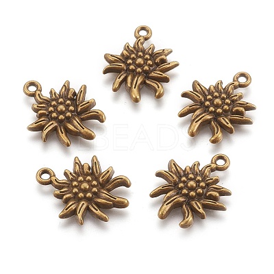 Tibetan Style Alloy Pendants LS-TIBEP-A113357-AB-FF-1