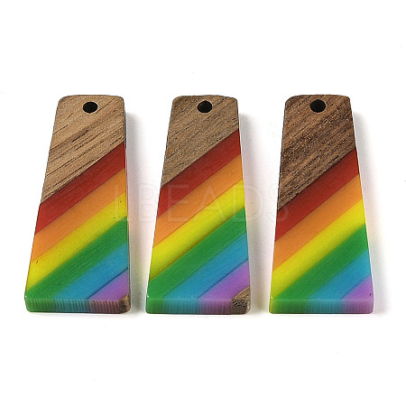 Pride Rainbow Theme Resin & Walnut Wood Pendants WOOD-K012-10B-1