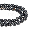 GOMAKERER 2 Strands Natural Black Agate Bead Strands G-GO0001-08-1