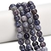 Natural Iolite Beads Strands X-G-G300-A04-8mm-1