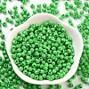 Baking Paint Glass Seed Beads SEED-A032-02B-2
