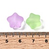 Frosted Transparent Acrylic Beads FACR-C001-01B-3