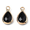 K9 Glass Charms GLAA-N038-21-5