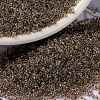 MIYUKI Round Rocailles Beads X-SEED-G009-RR2195-1