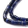 Natural Sodalite Beads Strands G-P468-19-4