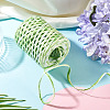 Raffia Twine Yarn OCOR-TAC0025-009D-7
