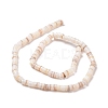 Freshwater Shell Beads Strands SHEL-G011-09-A02-3