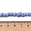 Handmade Lampwork Beads Strands BLOW-K001-01A-10-8
