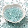Glass Seed Beads SEED-K009-04A-01-2