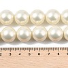 Polished Shell Pearl Round Beads Strands BSHE-XCP0001-17-4