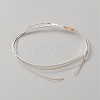 999 Fine Silver Wire STER-WH0010-05S-2