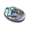 Natural Abalone Shell/Paua Shell Cabochons LS-SSHEL-L017-003-2
