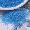 MIYUKI Delica Beads X-SEED-J020-DB0706-1