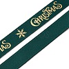 Flat Christmas Theme Polyester Satin Ribbon OCOR-YWC0001-01B-03-3