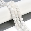 Natural Selenite Beads Strands G-G167-A02-01-2