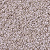 MIYUKI Round Rocailles Beads SEED-G007-RR2352-2