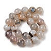 Natural Dendritic Agate Beads Strands G-A248-A07-07-3