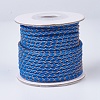 Braided Leather Cords WL-P002-04-A-1