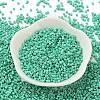 Baking Paint Glass Seed Beads X-SEED-S042-05B-60-2