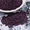 MIYUKI Delica Beads SEED-X0054-DB2360-1
