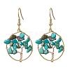 Natural Mixed Stone Chips Dangle Earrings EJEW-JE05726-3