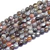 Natural Botswana Agate Beads Strands G-K310-D01-8mm-1