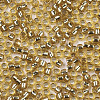 Glass Seed Beads SEED-S042-04B-07-3