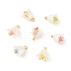 Spray Painted ABS Plastic Imitation Pearl Charms PALLOY-JF01603-04-1