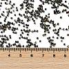 Electroplate Glass Seed Beads SEED-H003-10L-4