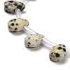 Natural Dalmatian Jasper Beads Strands G-Q167-A20-02-3