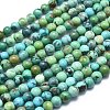 Natural Turquoise Beads Strands G-K305-01-A-1