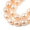 Natural Cultured Freshwater Pearl Beads Strands PEAR-I007-01D-01B-4