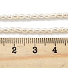 Natural Cultured Freshwater Pearl Beads Strands PEAR-P062-22-5