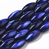 Natural Freshwater Shell Beads SHEL-R047-02B-1
