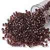 TOHO Round Seed Beads SEED-XTR08-0746-1