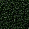 MIYUKI Round Rocailles Beads SEED-JP0009-RR0158F-3