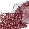 TOHO Round Seed Beads SEED-JPTR15-0165C-1