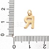 Rack Plating Brass Pendants KK-C065-05R-G-3